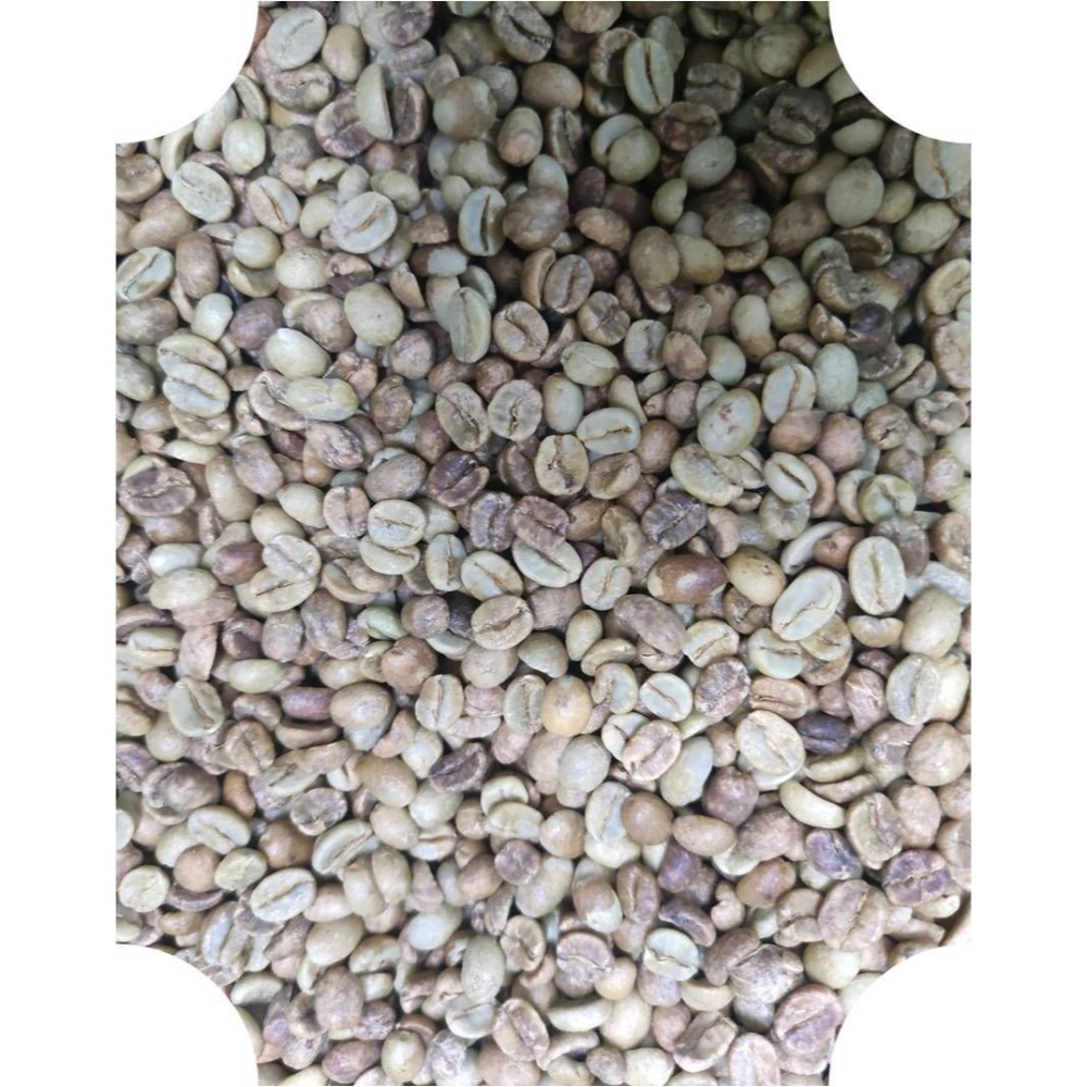 2025哥斯大黎加 卡內特 音樂家系列 莫札特 葡萄乾蜜處理-細節圖5