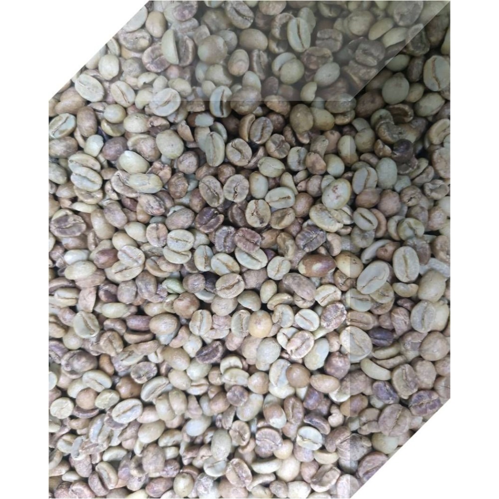 2025哥斯大黎加 卡內特 音樂家系列 莫札特 葡萄乾蜜處理-細節圖6