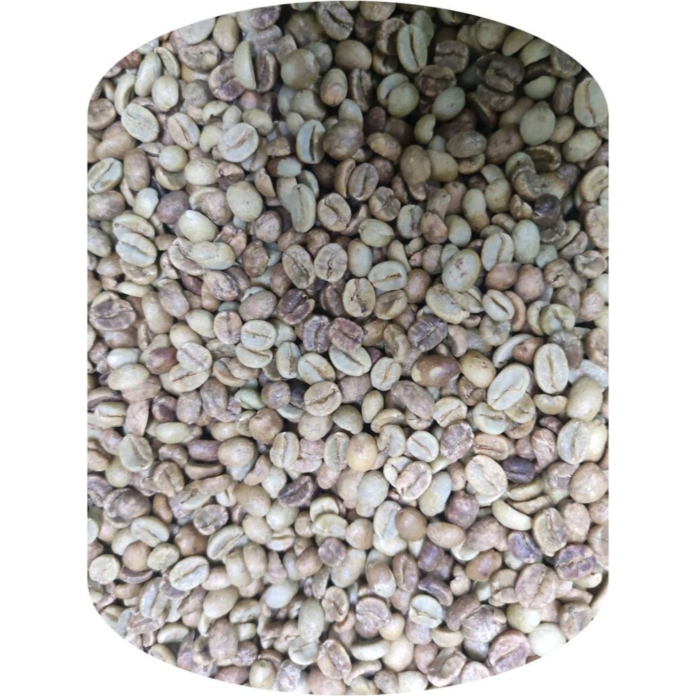 2025哥斯大黎加 卡內特 音樂家系列 莫札特 葡萄乾蜜處理-細節圖7