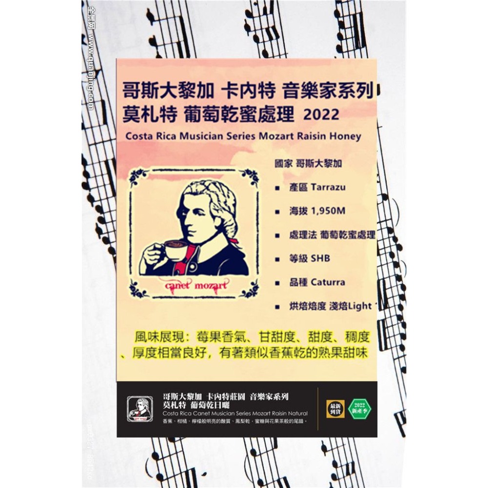 2025哥斯大黎加 卡內特 音樂家系列 莫札特 葡萄乾蜜處理-細節圖8