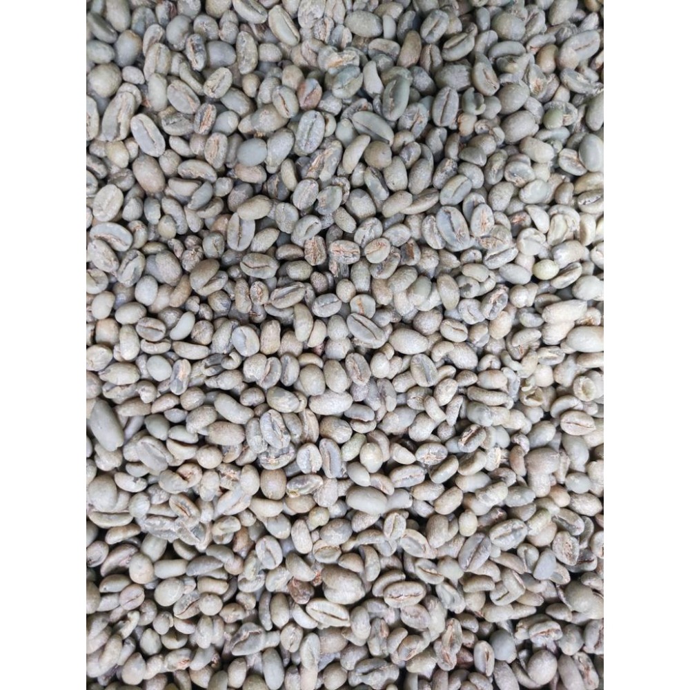 ★★強豆來襲 2025 衣索比亞 日曬 古吉 紫風鈴 G12501批次一公斤生豆★★-細節圖5