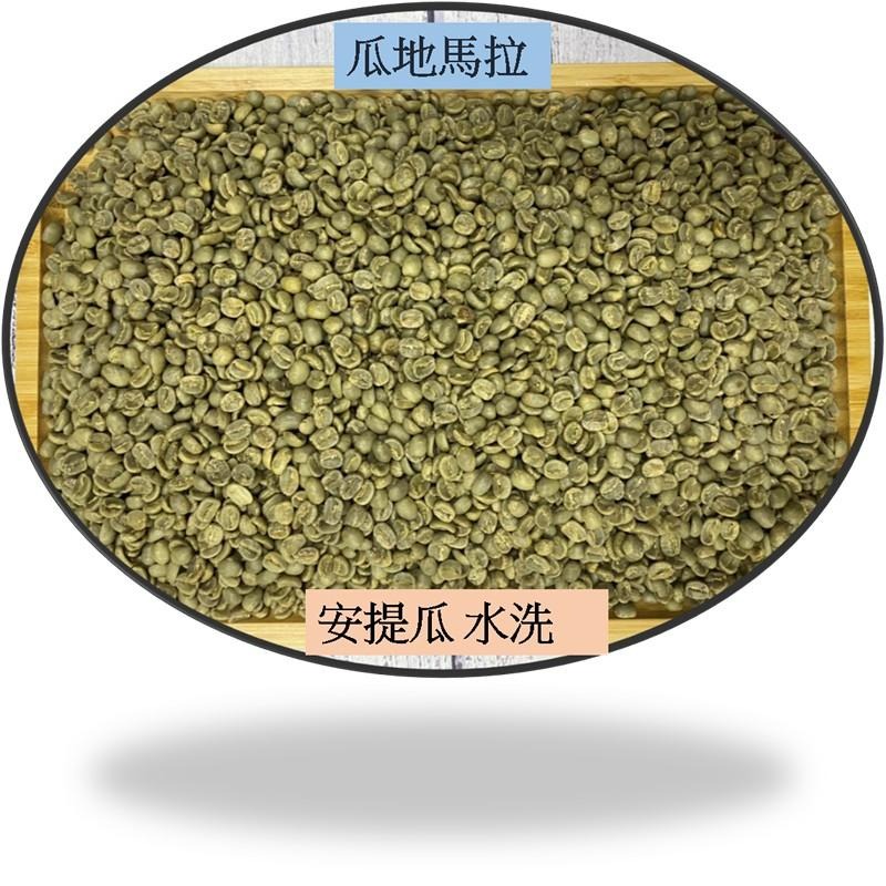 💯瓜地馬拉 安提瓜 水洗 SHB歐規水洗 +瓜地馬拉 安提瓜 拉米尼塔 花神 SHB歐規水洗💯-細節圖3