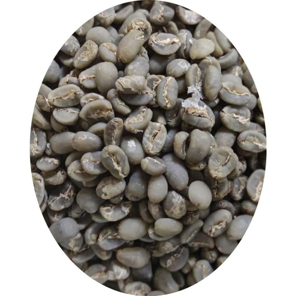 印尼 綠寶石曼特寧N Sumatra Lake Tawar一公斤分裝包裝生豆-細節圖4