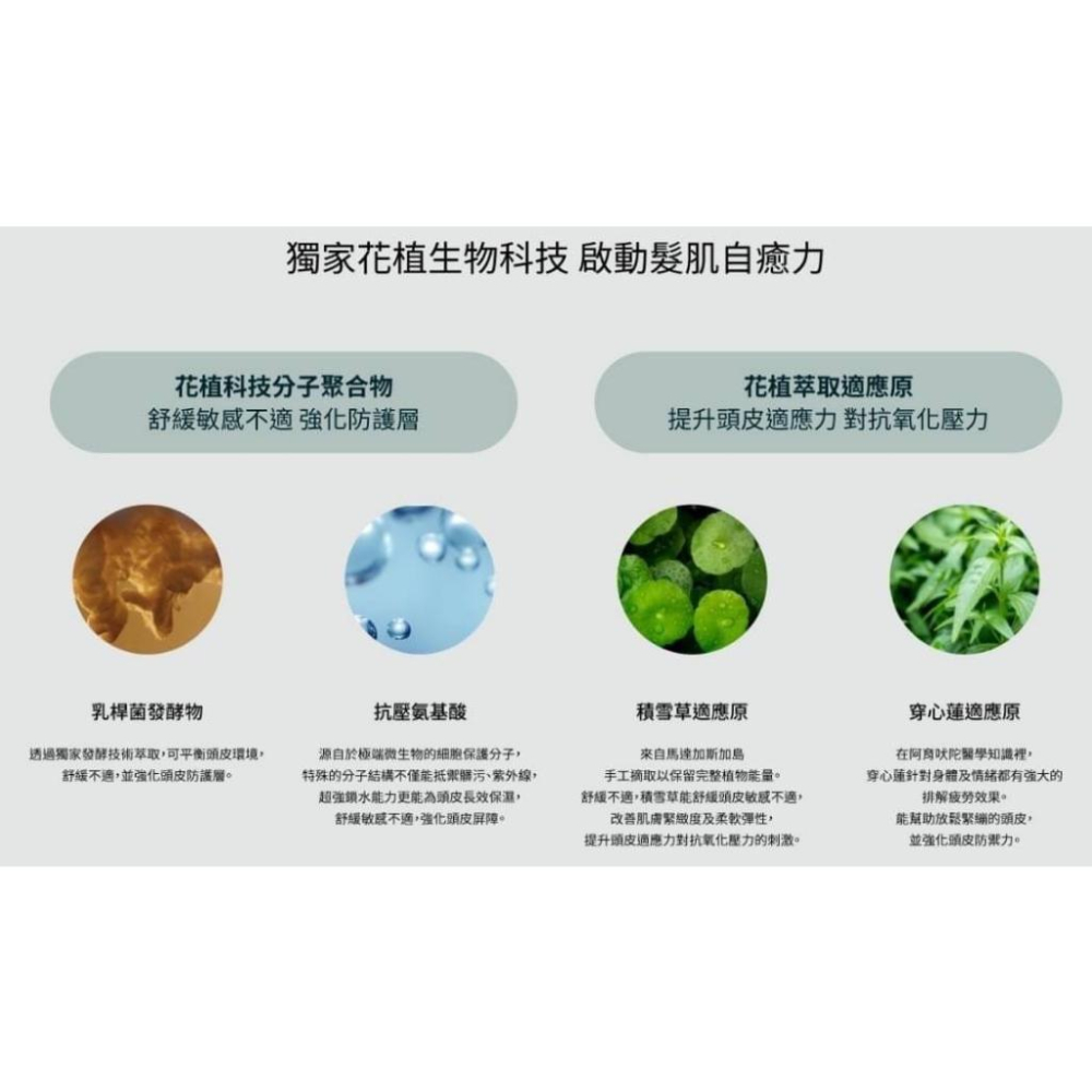 現貨AVEDA蘊活淨瑕頭皮調理液100ml-細節圖4