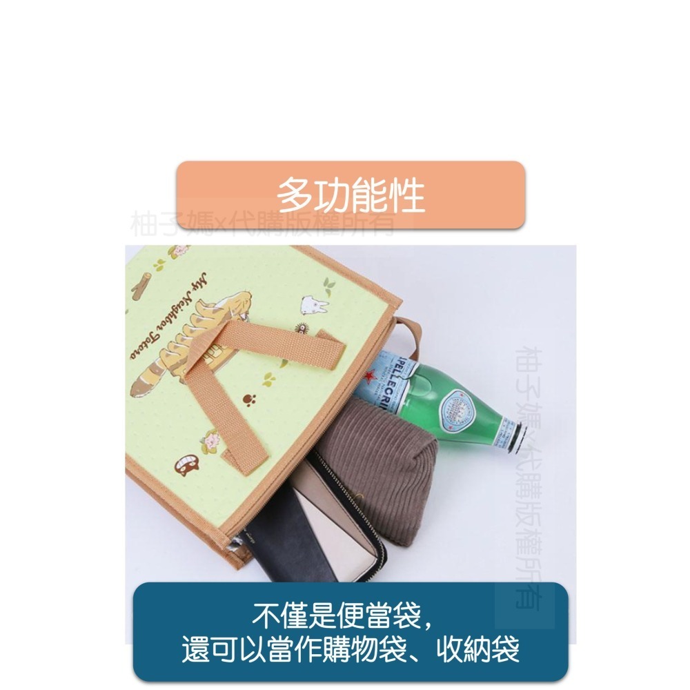 <現貨>SKATER 卡通 保冷袋 保溫袋 便當袋 提袋 不織布 午餐袋 購物袋 龍貓 KIKI 庫洛米-細節圖5