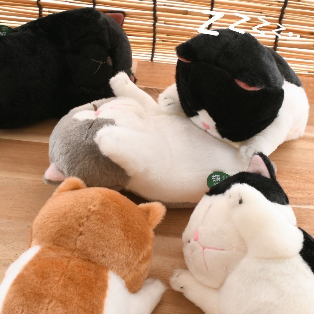 <現貨>棒貓 趴睡貓 無防備 睡貓 絨毛玩偶 愛睏貓咪 療癒 貓咪玩偶 内藤 デザイン研究所 躺平貓-細節圖6