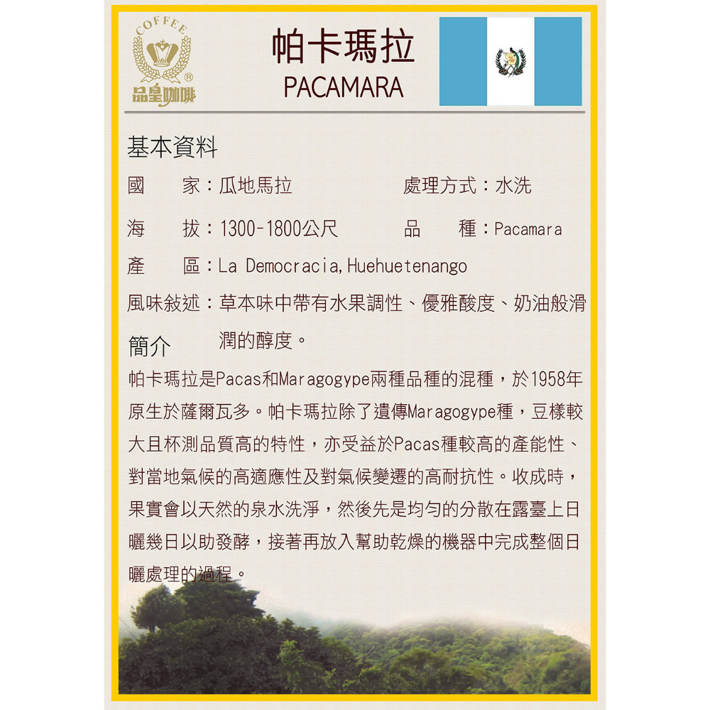 買三送一【品皇】高海拔莊園咖啡豆800~1000元-規格圖1