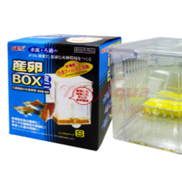 迪加購物【愛護寶貝】【現貨】GEX日本孔雀產卵盒 S L 產卵 繁殖 隔離 可接空氣馬達使用