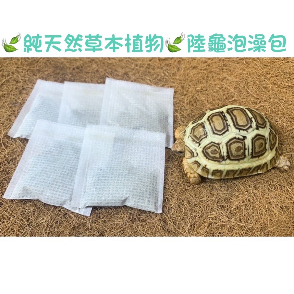 新品上市 全新研發配方 Aspert 亞成繁殖飼料 適合幼龜 亞成 大龜 高纖 高蛋白 適口性佳 成長飼料 陸龜 豹龜-細節圖2
