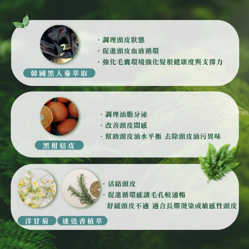 A&D雅頓　SL 黑精粹角質凝露 25ml x 6｜限時特惠｜滿額免運｜頭皮・肌膚溫和角質調理｜淨化平衡｜清爽不黏膩-細節圖3