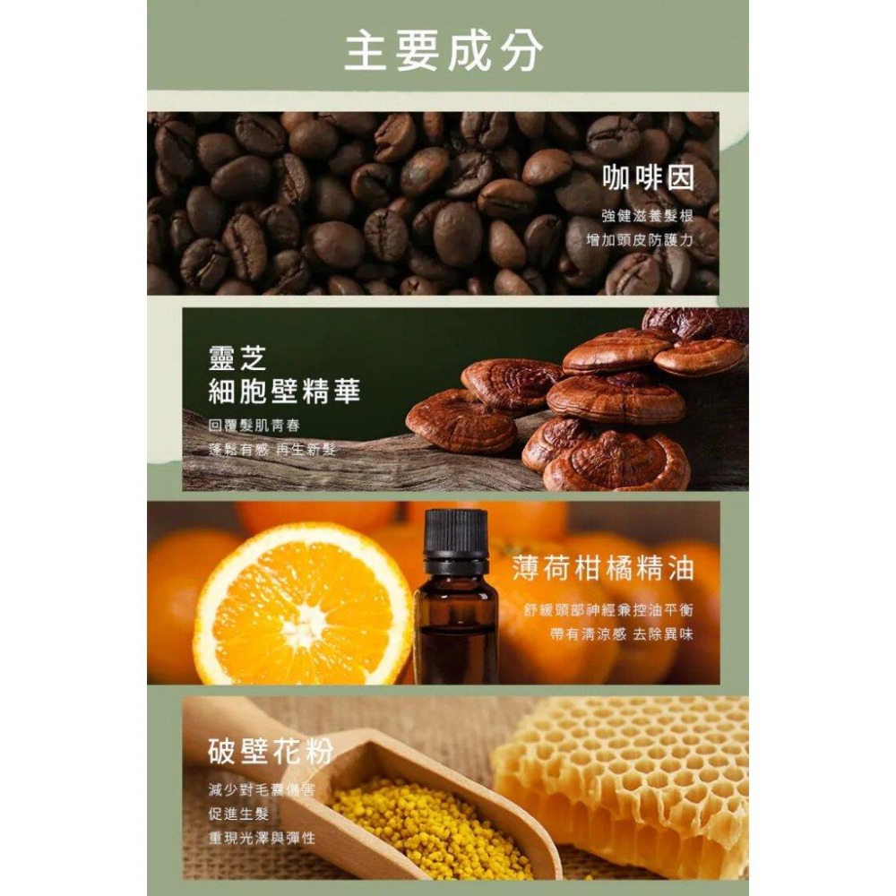 A&D雅頓 SL舒敏洗髮精 480ml　｜限時特惠｜滿額免運-細節圖4