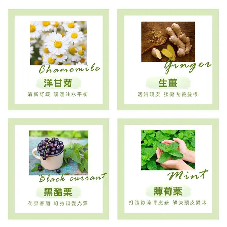 A&D雅頓　SL綠意純淨有機歐錦葵頭皮噴霧 30ml　新上市｜限時特惠｜滿額免運｜🏆頭皮油水平衡｜易汗頭皮｜調理護理｜-細節圖3