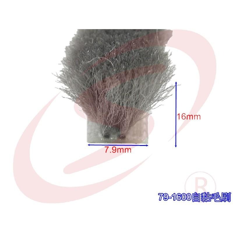 自黏毛刷 底座7.9mm 毛長16mm 毛刷條防撞條 門邊條 氣密條 門縫條 氣密隔音防撞毛刷-細節圖4