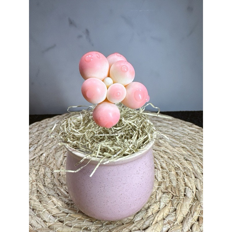 [木籽手作]橘色奶酪/彩色奶酪/奶酪/仿真多肉/台灣現貨-規格圖2