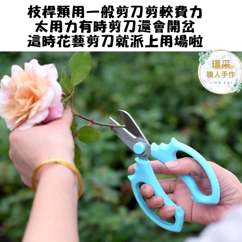 【璟采職人】花藝剪刀 園藝剪刀 不鏽鋼剪刀 花藝工具 花枝剪刀 園藝器具 插花剪刀 花剪 修枝剪 樹枝剪 花桿剪刀-細節圖3