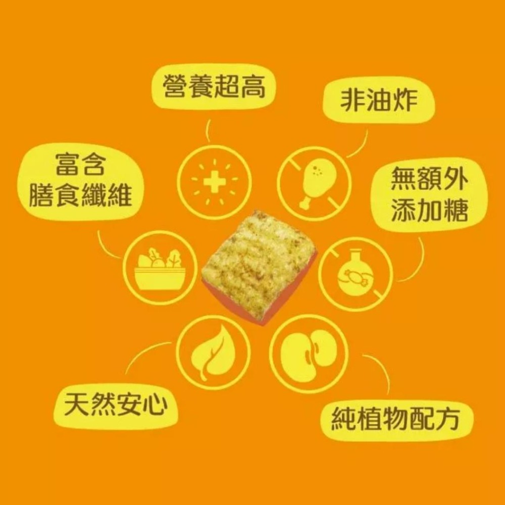 THE VEGAN 樂維根 豆皮餅乾 30g/包 海苔｜番茄｜雙倍可可｜青檸胡椒｜洋蔥酸奶【詠晴中西藥局】蛋白棒 高蛋白-細節圖3