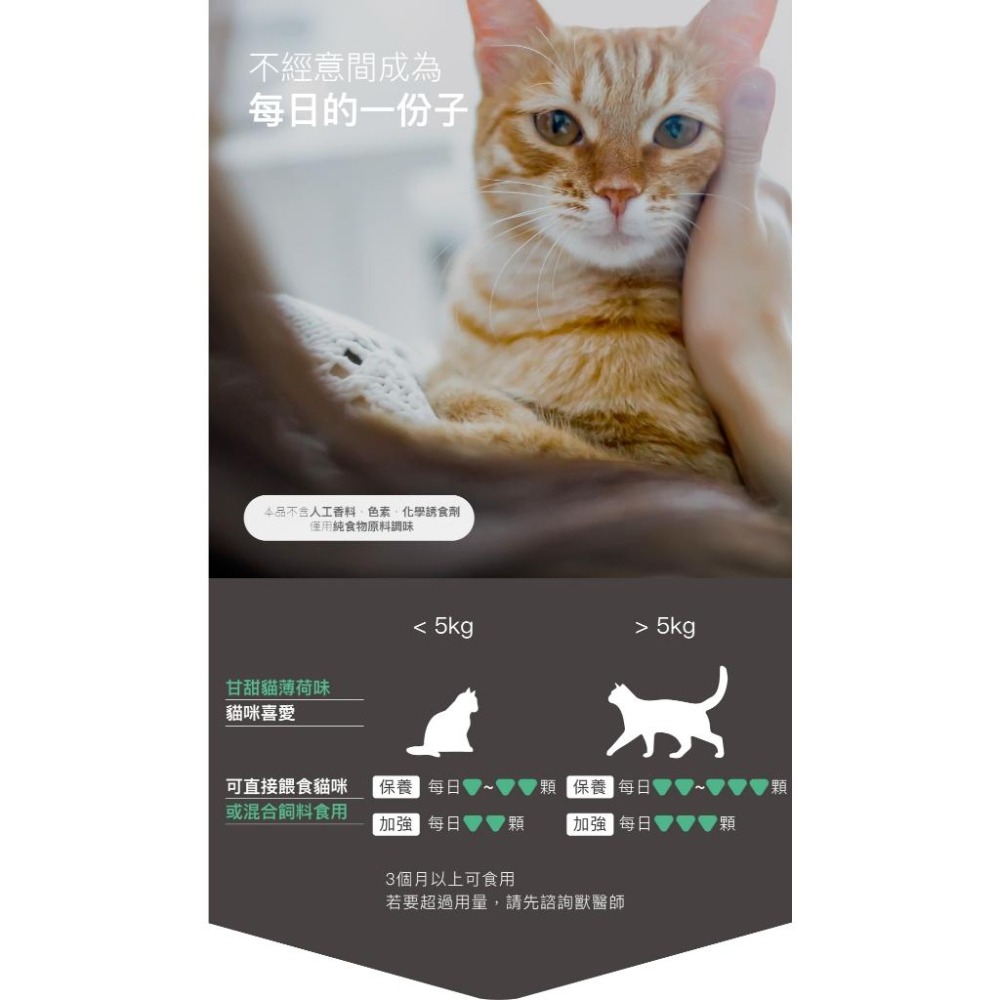 木入森 貓咪 好規泌 60顆/30顆【詠晴中西藥局】營養補充 情緒安撫 遠離排尿卡頓感 貓咪保健食品 獸醫推薦-細節圖3