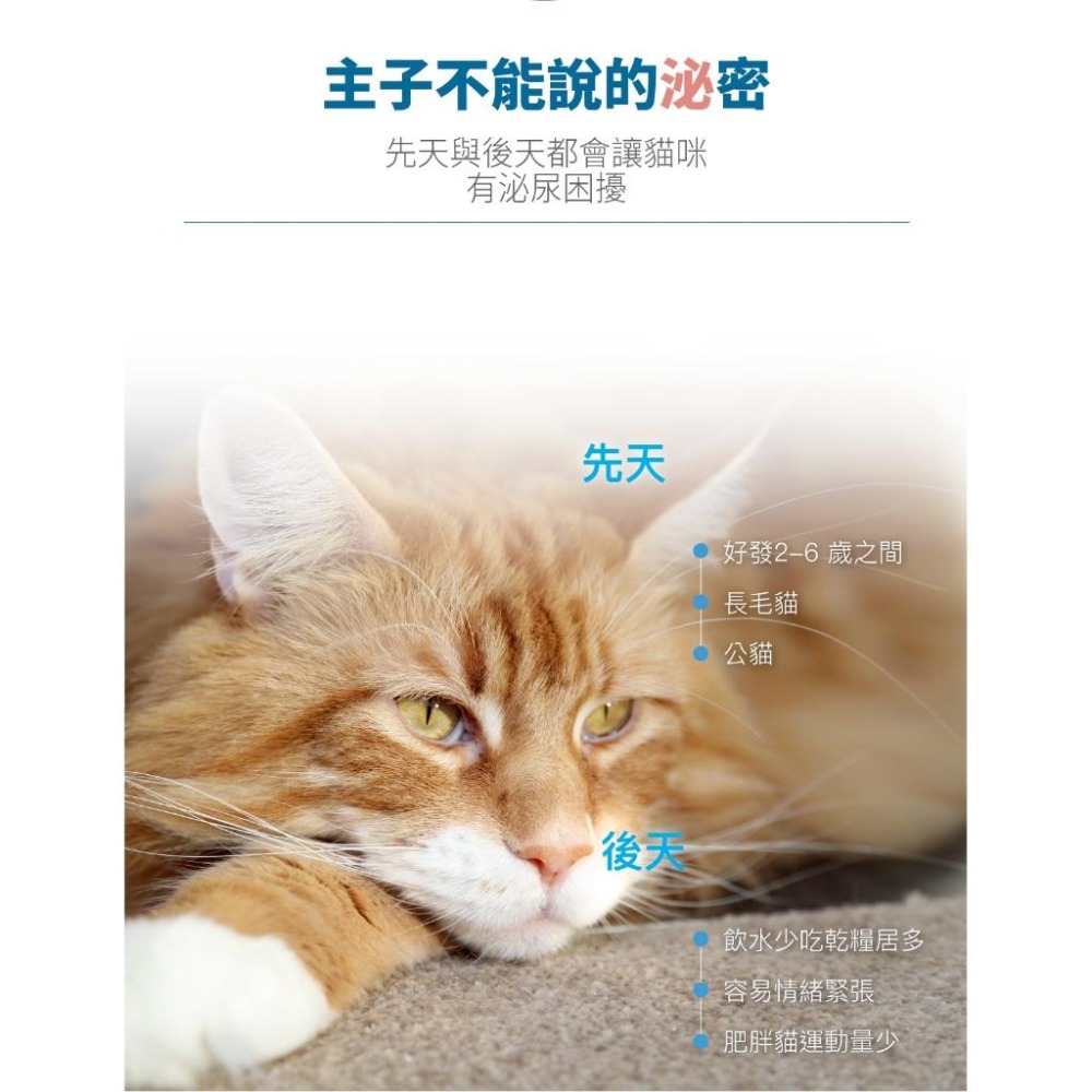 木入森 貓咪 好規泌 60顆/30顆【詠晴中西藥局】營養補充 情緒安撫 遠離排尿卡頓感 貓咪保健食品 獸醫推薦-細節圖7