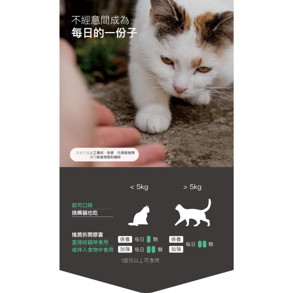 木入森 貓咪 護疫升 60顆/30顆【詠晴中西藥局】乳鐵蛋白 紫錐花萃取 離胺酸｜調節免疫力 貓咪保健食品 獸醫推薦-細節圖3