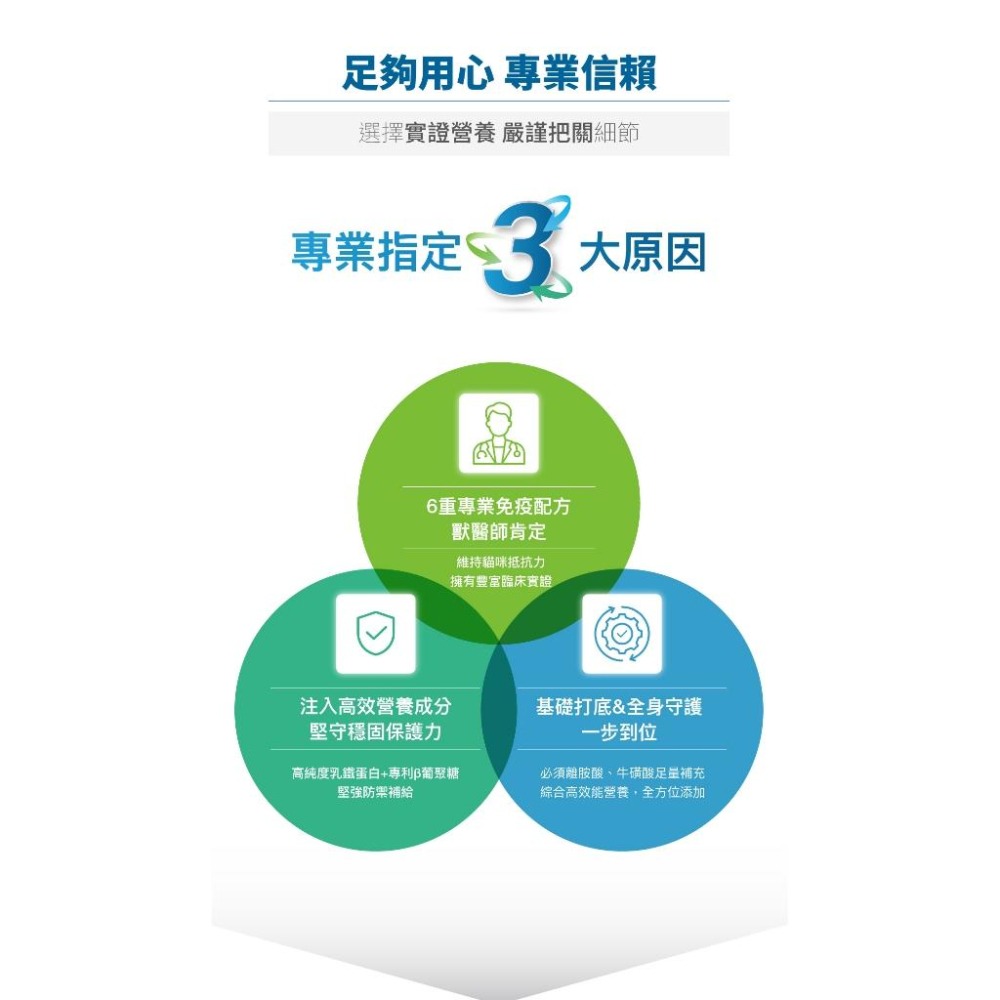 木入森 貓咪 護疫升 60顆/30顆【詠晴中西藥局】乳鐵蛋白 紫錐花萃取 離胺酸｜調節免疫力 貓咪保健食品 獸醫推薦-細節圖7