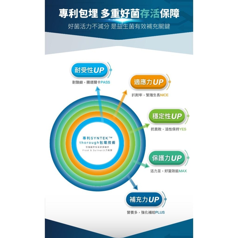 木入森 寵物保健品 綜合賣場【詠晴中西藥局】犬貓保健品 益生菌 排毛粉 魚油粉 痕淨白 變不臭 活菌寶 膚立好 有關膝-細節圖4