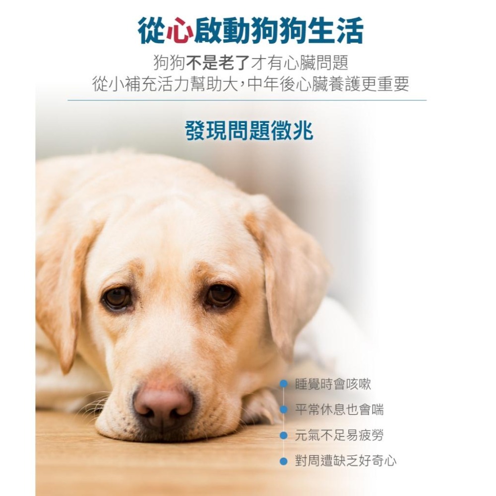 木入森 犬寶 珍心動 60顆/30顆【詠晴中西藥局】Q10 牛磺酸｜強化心臟 促進血液循環 狗狗心臟保健食品 獸醫推薦-細節圖7