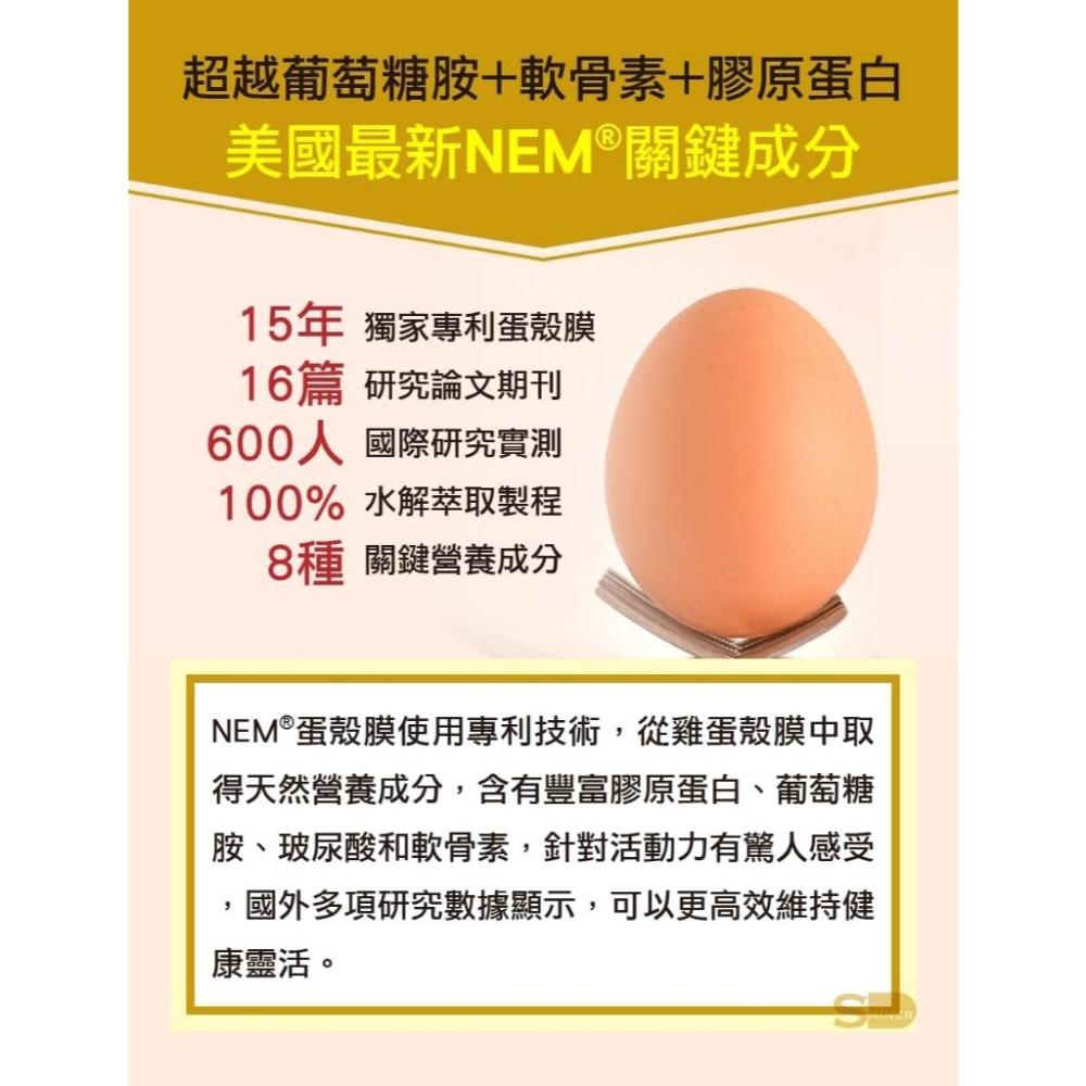 SHINER旭能 耐固膜 強化膠囊 30粒/瓶【詠晴中西藥局】天然蛋殼膜 蛋奶素可食用｜行動敏捷 靈活不卡-細節圖3