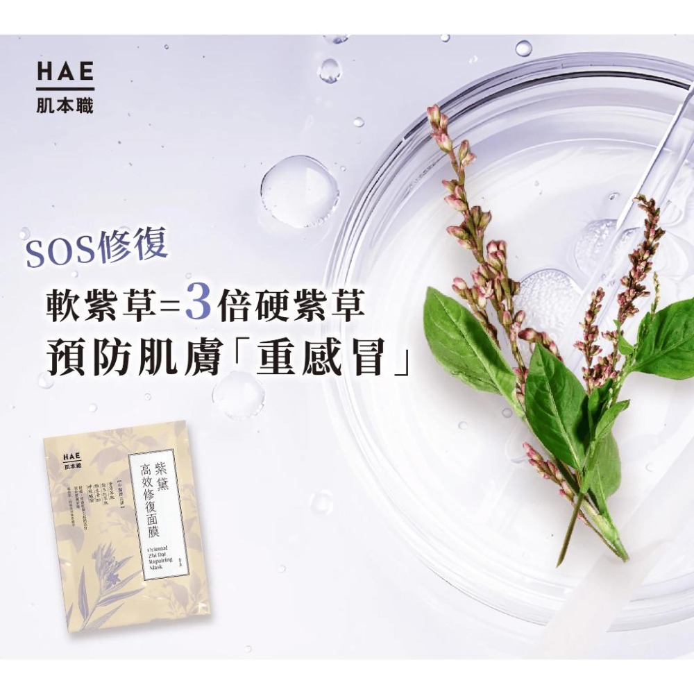 肌本職 紫黛 高效修復面膜 26ml*5片【詠晴中西藥局】 中醫美、特殊美容後指定極效 中醫師的SOS面膜-細節圖4