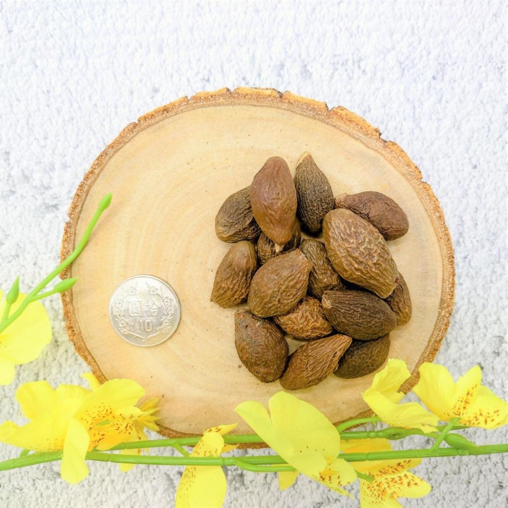 大海子｜膨大海｜澎大海｜胖大海｜彭大海【詠晴中西藥局】100克/300克/600克 羅漢果好朋友潤喉 聲音沙啞KTV必備-細節圖2