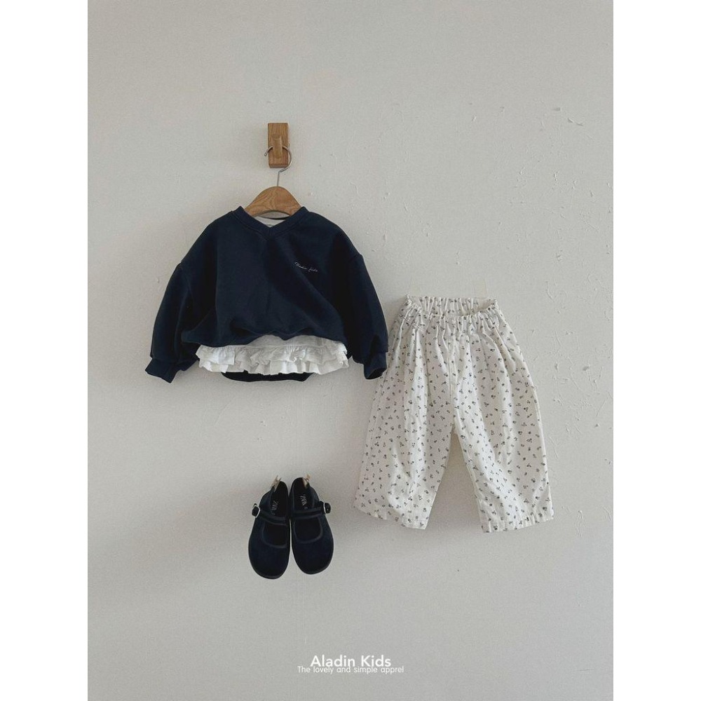 ✿ 現貨｜韓國童裝代購｜小童｜75-114 ✿aladin kids經典V領刺繡大學T-細節圖7