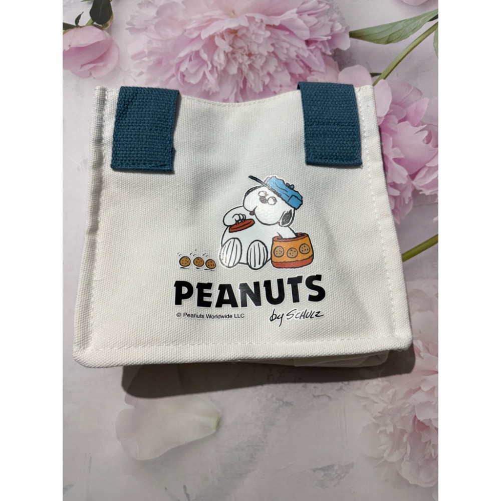 史努比帆布手提袋-規格圖2