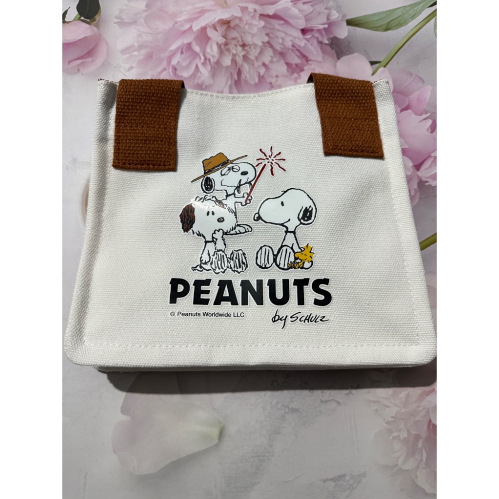 史努比帆布手提袋-規格圖2