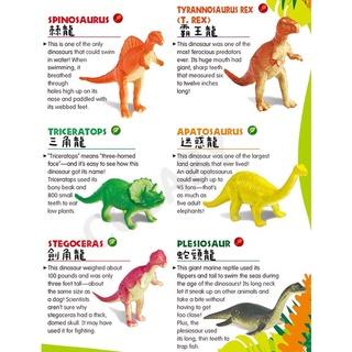 【台灣現貨】DIY考古挖掘玩具 恐龍化石 恐龍挖掘玩具 兒童益智玩具 考古挖掘恐龍 恐龍蛋 考古學家-細節圖4