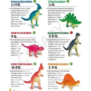 【台灣現貨】DIY考古挖掘玩具 恐龍化石 恐龍挖掘玩具 兒童益智玩具 考古挖掘恐龍 恐龍蛋 考古學家-細節圖5