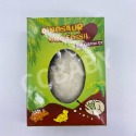 【台灣現貨】DIY考古挖掘玩具 恐龍化石 恐龍挖掘玩具 兒童益智玩具 考古挖掘恐龍 恐龍蛋 考古學家-規格圖9