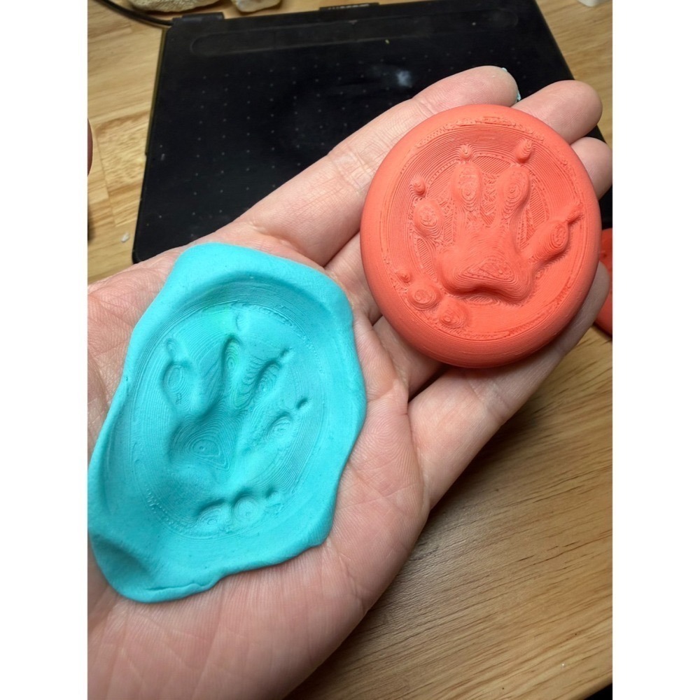 【印活物】台灣野生動物足跡石 (12種，顏色隨機出貨)-細節圖2