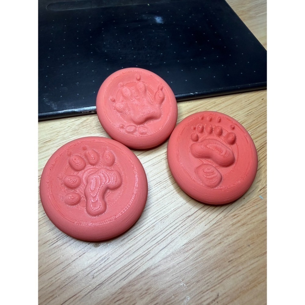 【印活物】台灣野生動物足跡石 (12種，顏色隨機出貨)-細節圖4