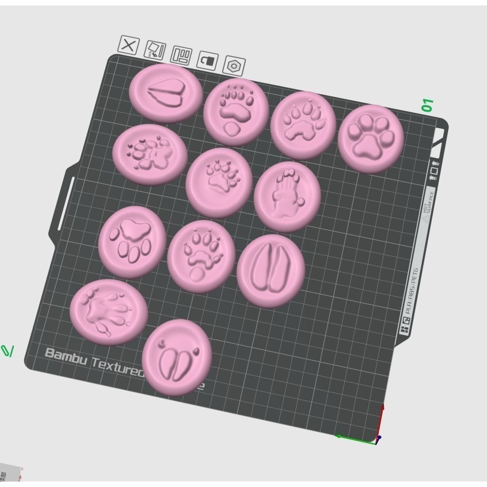 【印活物】台灣野生動物足跡石 (12種，顏色隨機出貨)-細節圖5