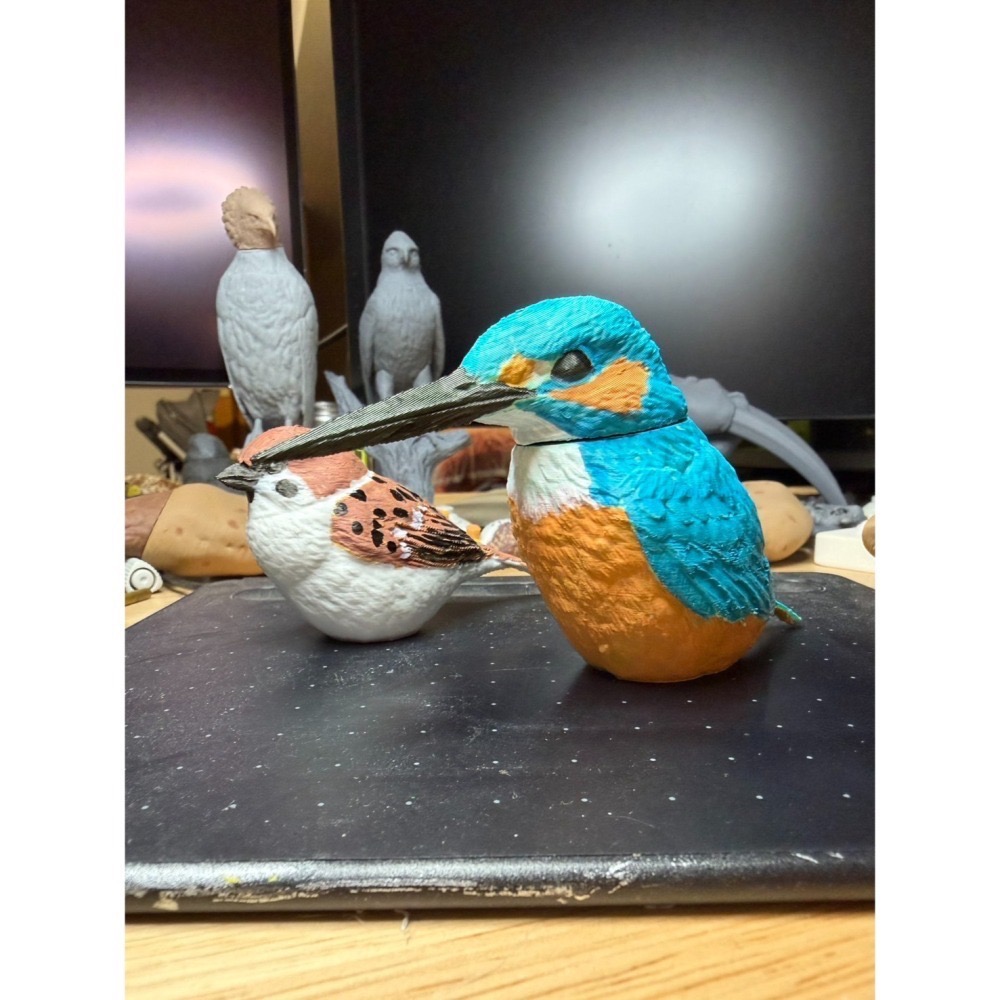 【印活物】1:1 台灣常見小型鳥類模型(3D列印白模，需自行上色)-細節圖2