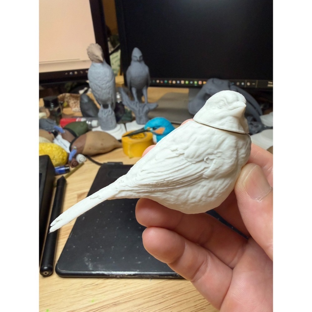 【印活物】1:1 台灣常見小型鳥類模型(3D列印白模，需自行上色)-細節圖4