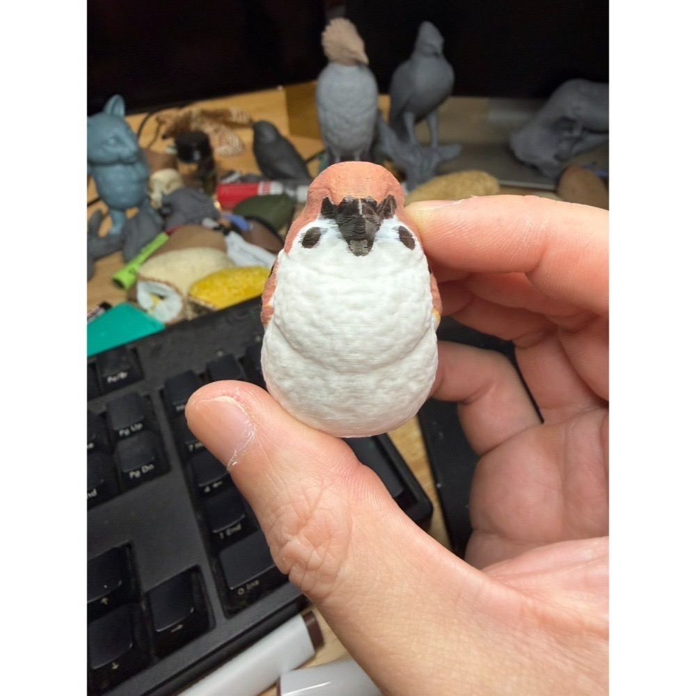 【印活物】1:1 台灣常見小型鳥類模型(3D列印白模，需自行上色)-細節圖5