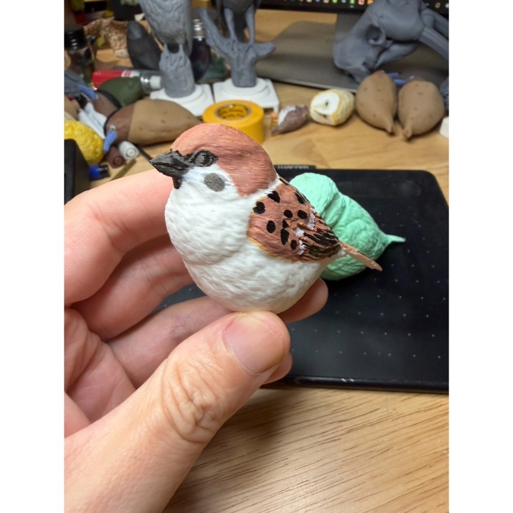 【印活物】1:1 台灣常見小型鳥類模型(3D列印白模，需自行上色)-細節圖6
