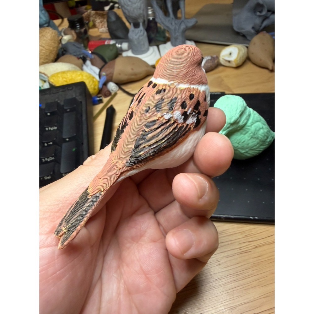 【印活物】1:1 台灣常見小型鳥類模型(3D列印白模，需自行上色)-細節圖7