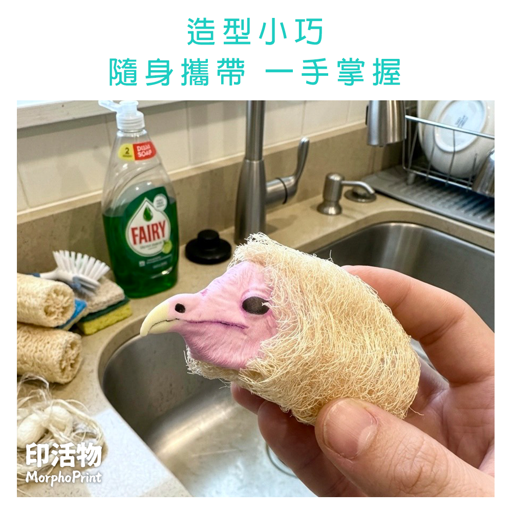 【印活物】草鴞(幼鳥與成鳥)-迷你菜瓜布-細節圖3