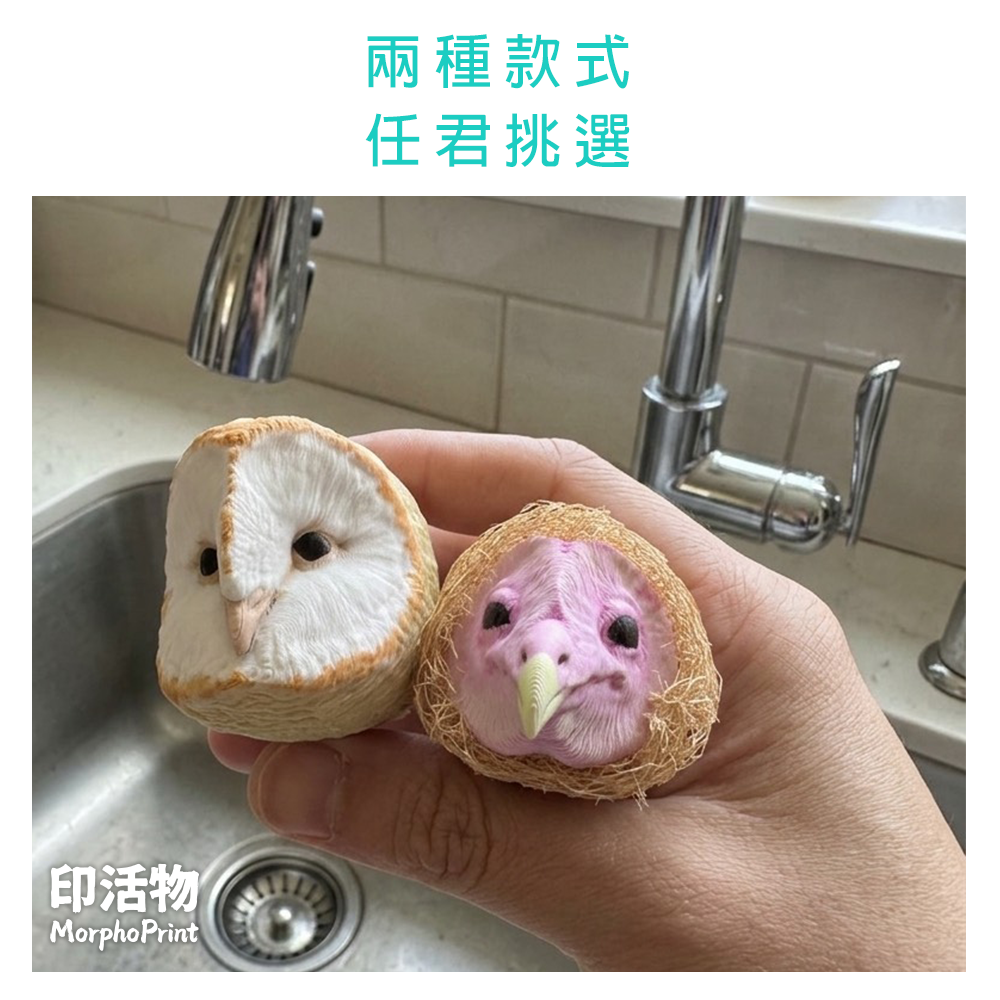 【印活物】草鴞(幼鳥與成鳥)-迷你菜瓜布-細節圖4