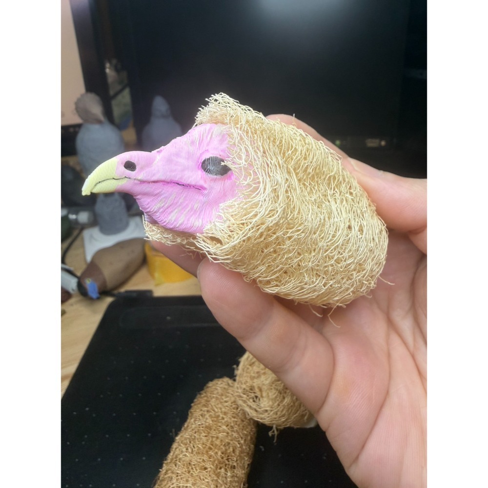 【印活物】草鴞(幼鳥與成鳥)-迷你菜瓜布-規格圖4