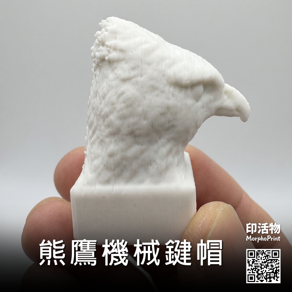 【印活物】3D列印 熊鷹頭部機械鍵盤鍵帽-細節圖2