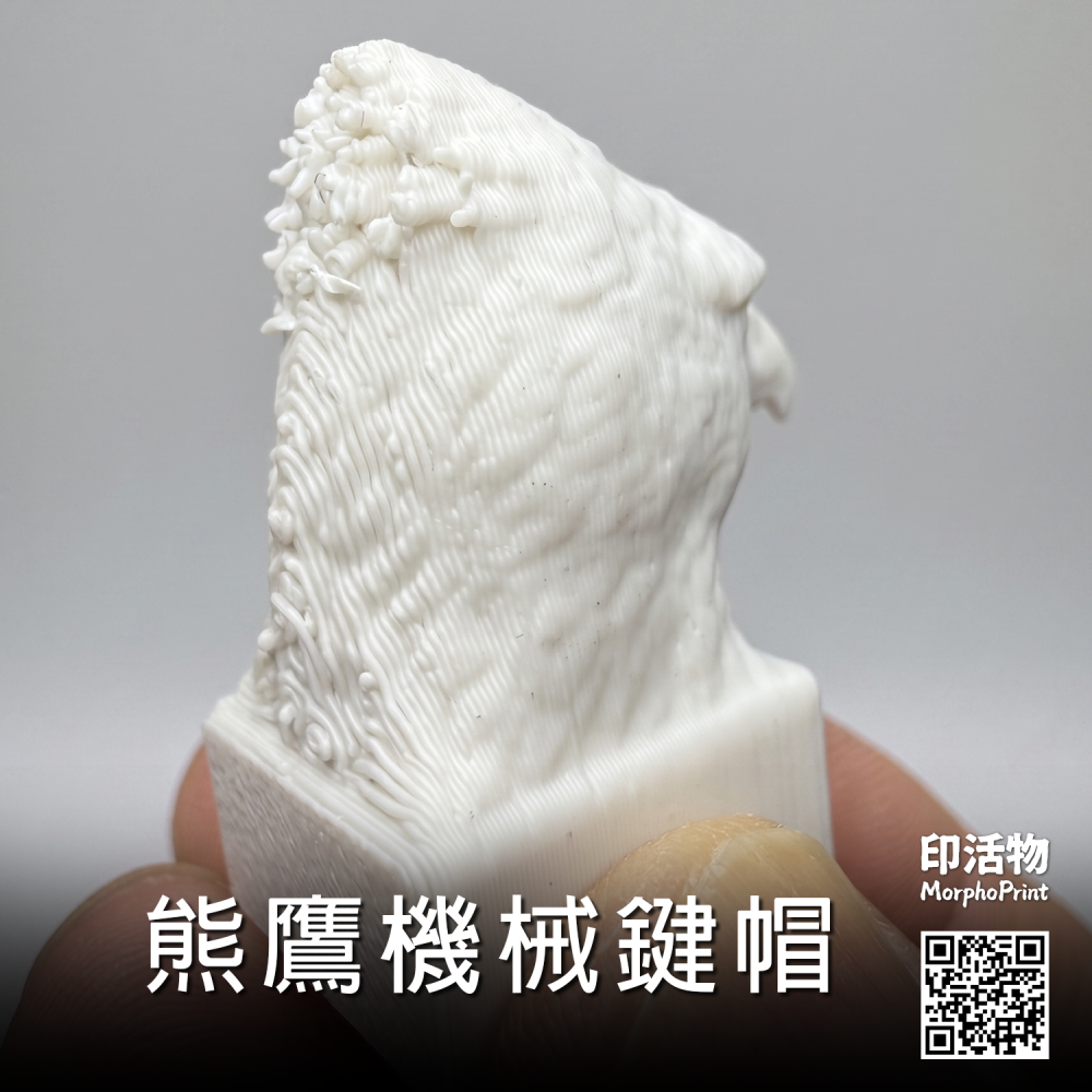 【印活物】3D列印 熊鷹頭部機械鍵盤鍵帽-細節圖3