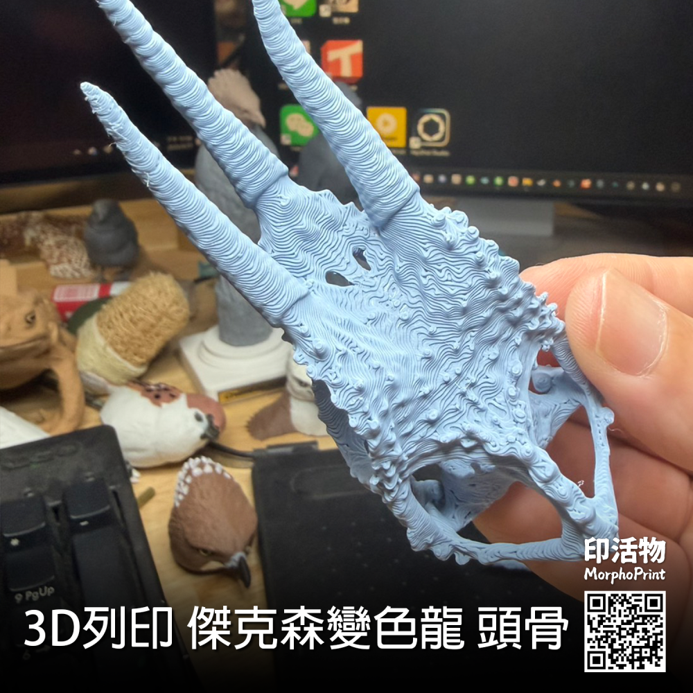 【印活物】3D列印 傑克森變色龍 頭骨模型-細節圖2