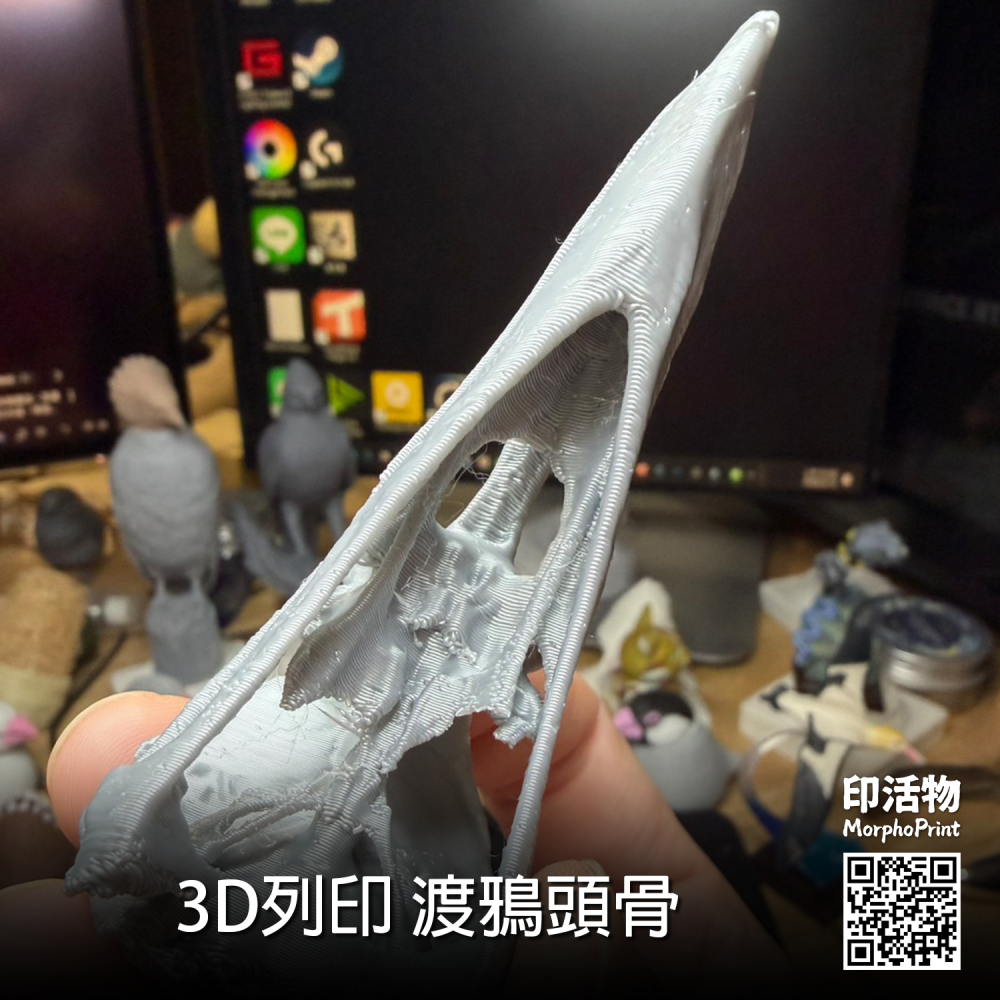 【印活物】3D列印 渡鴉 頭骨模型-細節圖2